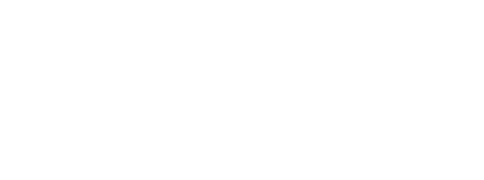 Anime All Day